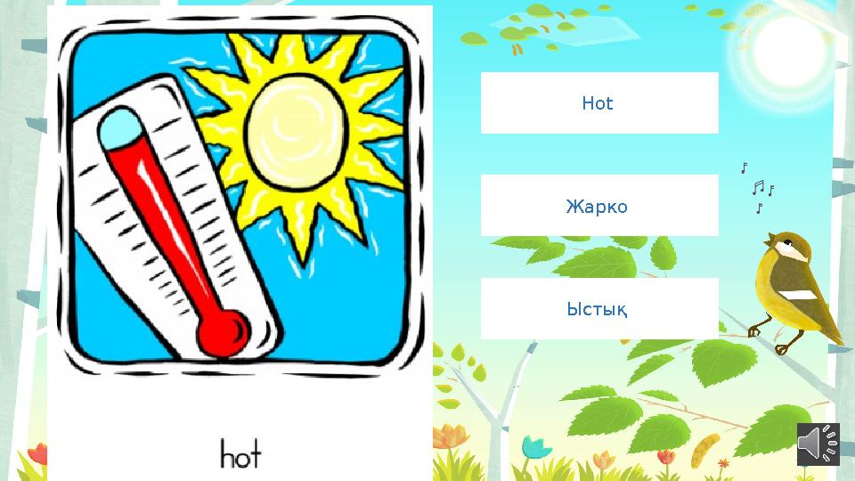 Hot Жарко Ыстық