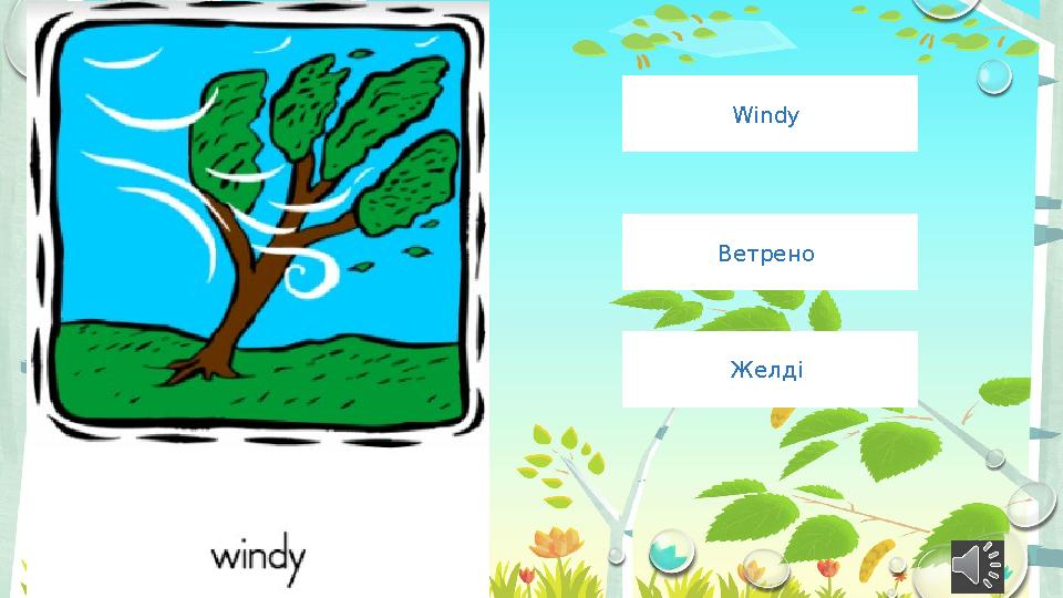 Windy Ветрено Желді