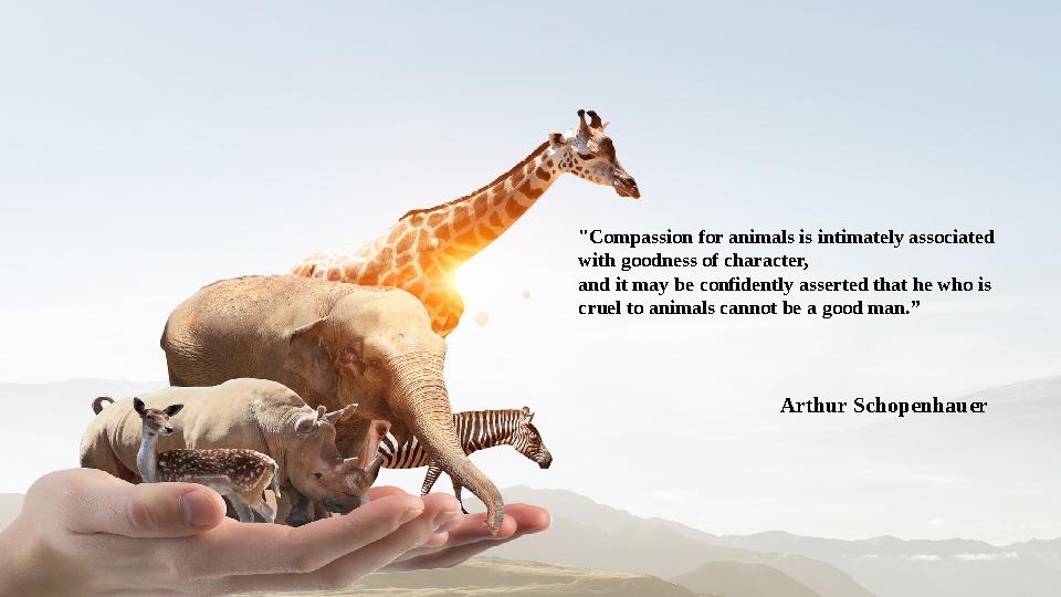 "Compassion for animals is intimately associated with goodness of character, and it may be confidently asserted that he who is