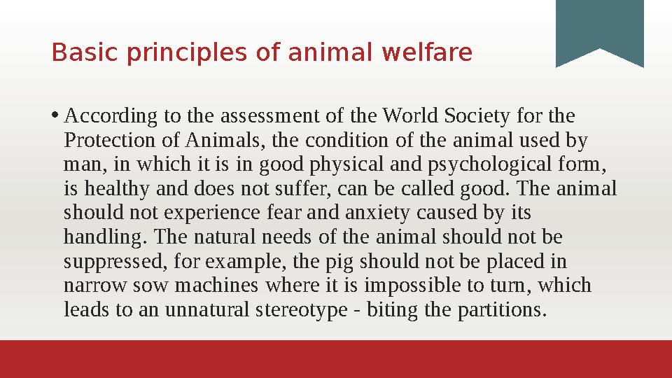 Basic principles of animal welfare • According to the assessment of the World Society for the Protection of Animals, the condit