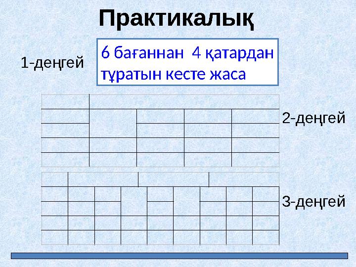 Практикалық жұмыстар