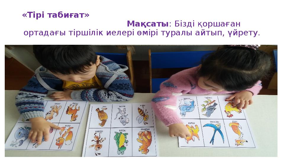 «Тірі табиғат» Мақсаты : Бізді қоршаға