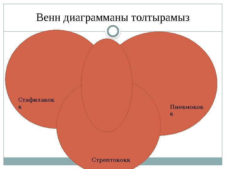 Венн диаграмманы толтырамыз СтрептококкСтафилакок к Пневмокок к