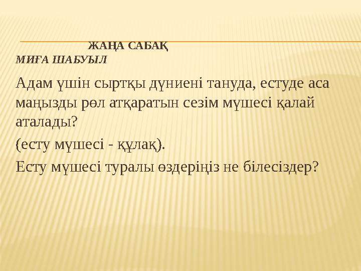 ЖАҢА САБАҚ МИҒА ШАБУЫЛ Адам үшін сыртқы дүниені тануда, естуде аса маңызды рөл атқаратын с