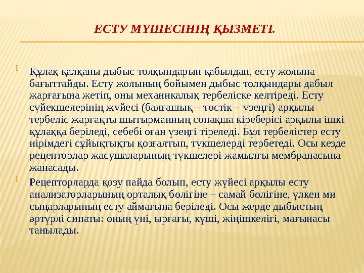 ЕСТУ МҮШЕСІНІҢ ҚЫЗМЕТІ.  Құлақ қалқаны дыбыс толқындарын қабылдап, есту жолына бағыттайды. Есту жолының бойымен дыбыс толқында