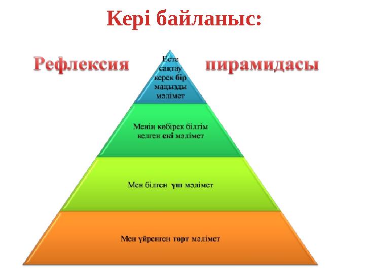 Кері байланыс: