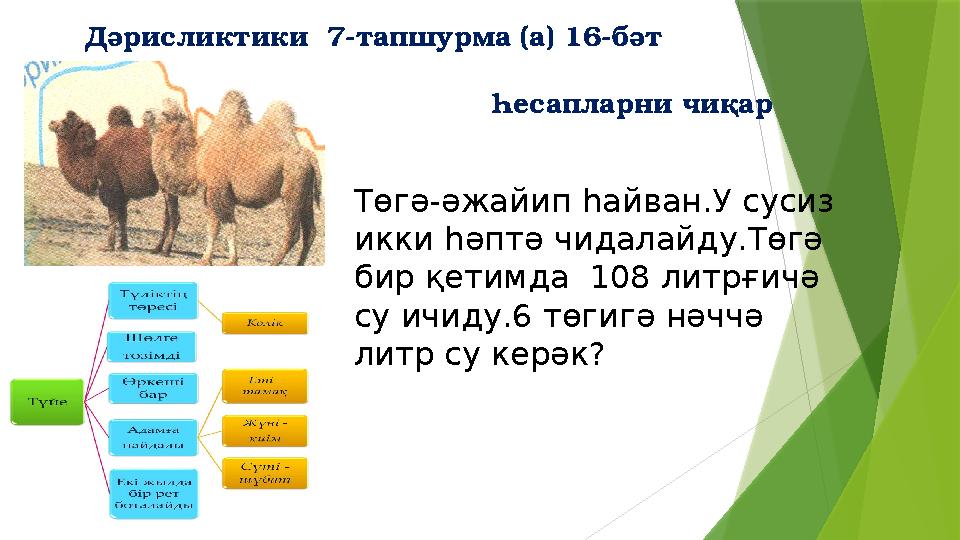 Дәрисликтики 7-тапшурма (а) 16-бәт Һесапларни