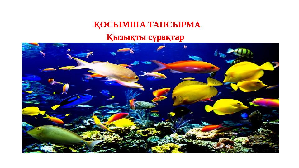 ҚОСЫМША ТАПСЫРМА Қызықты сұрақтар