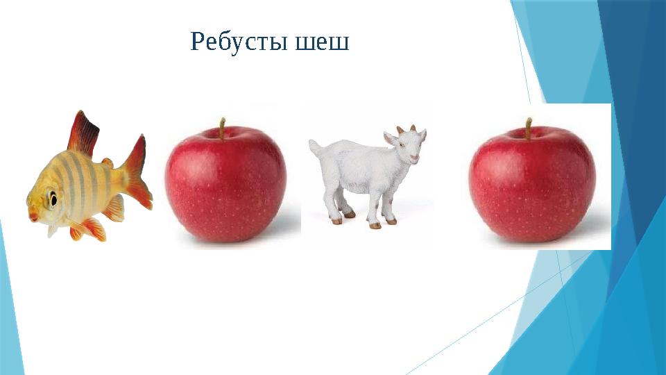 Ребусты шеш