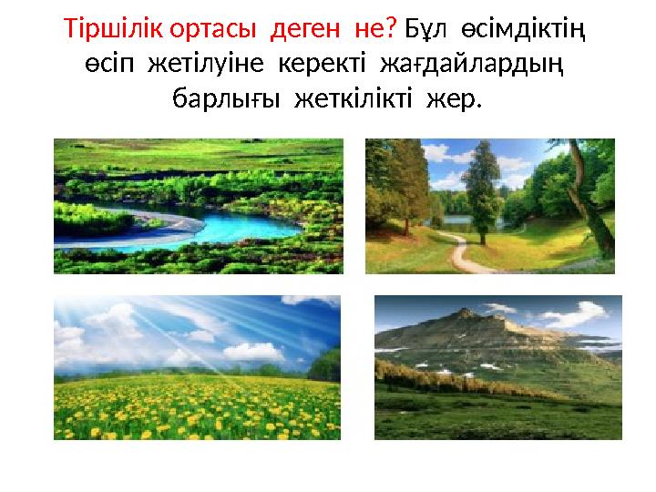 Тіршілік ортасы деген не? Бұл өсімдіктің өсіп жетілуіне керекті жағдайлардың барлығы жеткілікті жер.