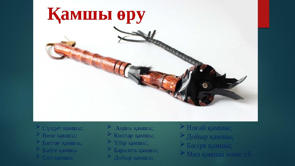  Сүндет қамшы;  Неке қамшы;  Баптау қамшы;  Бәйге қамшы  Соп қамшы  Аңшы қамшы;  Көкпар қамшы;  Үйір қамшы;  Барымта