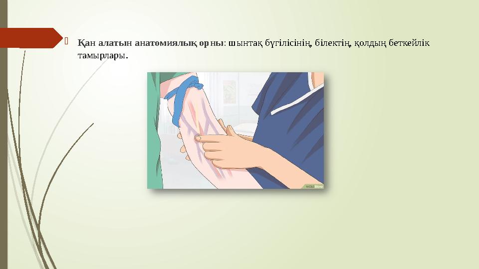  Қан алатын анатомиялық орны : шынтақ бүгілісінің, білектің, қолдың беткейлік тамырлары.