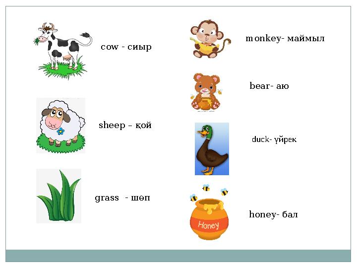 cow - сиыр sheep – қой honey - балmonkey- маймыл bear - аю grass - шөп duck- үйрек