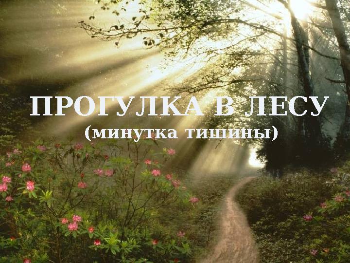 ПРОГУЛКА В ЛЕСУ (минутка тишины)