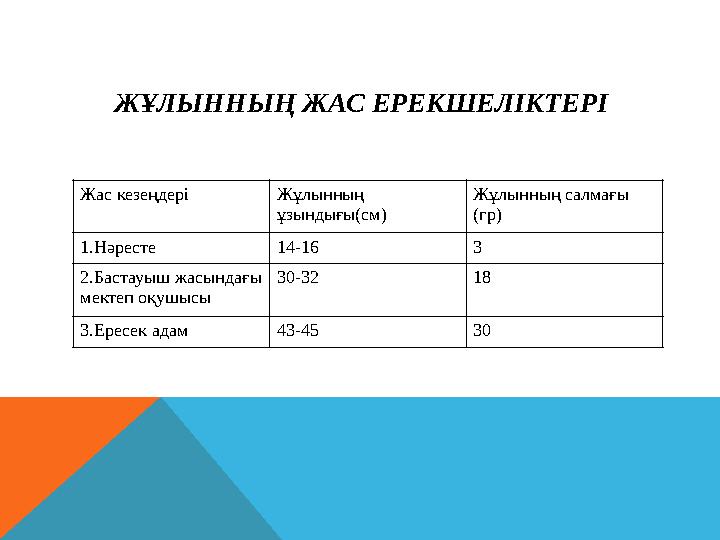 ЖҰЛЫННЫҢ ЖАС ЕРЕКШЕЛІКТЕРІ Жас кезеңдері Жұлынның ұзындығы(см) Жұлынның салмағы (гр) 1.Нәресте 14-16 3 2.Бастауыш жасындағы м