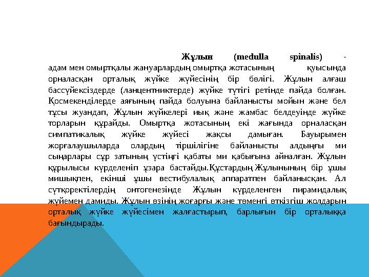Жұлын ( medulla spinalis) - a дам мен омыртқалы жануарлардың омыртқа жотасының қуысында орналасқан орталық