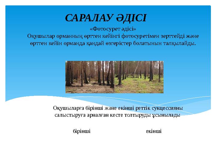 САРАЛАУ ӘДІСІ «Фотосурет әдісі» Оқушылар орманның өрттен кейінгі фотосуретімен зерттейді және өрттен кейін орманда қандай өзгер