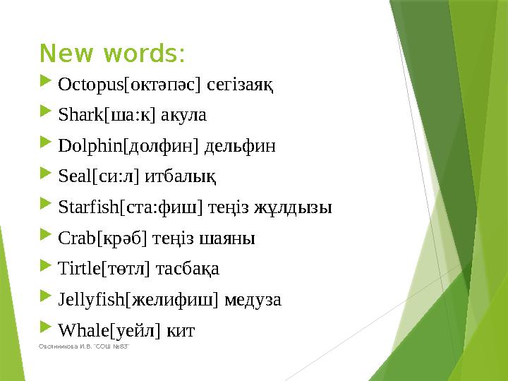 New words:  Octopus[ октәпәс ] сегізаяқ  Shark[ ша:к ] акула  Dolphin[ долфин ] дельфин  Seal[ си:л ] итбалық  Sta