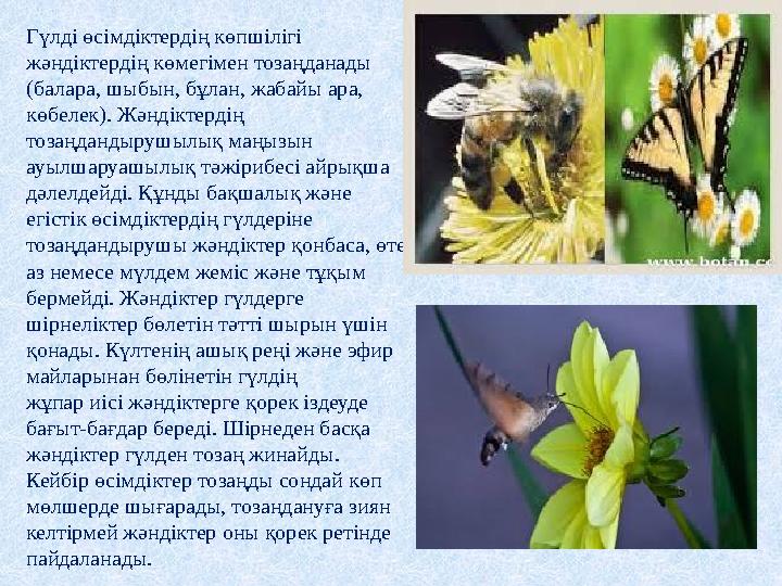 Г үлді өсімдіктердің көпшілігі жәндіктердің көмегімен тозаңданады (балара, шыбын, бұлан, жабайы ара, көбелек). Жәндіктердің т