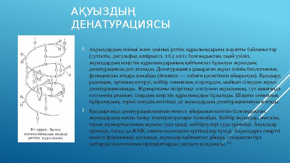 АҚУЫЗДЫҢ ДЕНАТУРАЦИЯСЫ  Ақуыздардың екінші және үшінші реттік құрылымдарына жауапты байланыстар (сутектік, дисульфид көпіршес