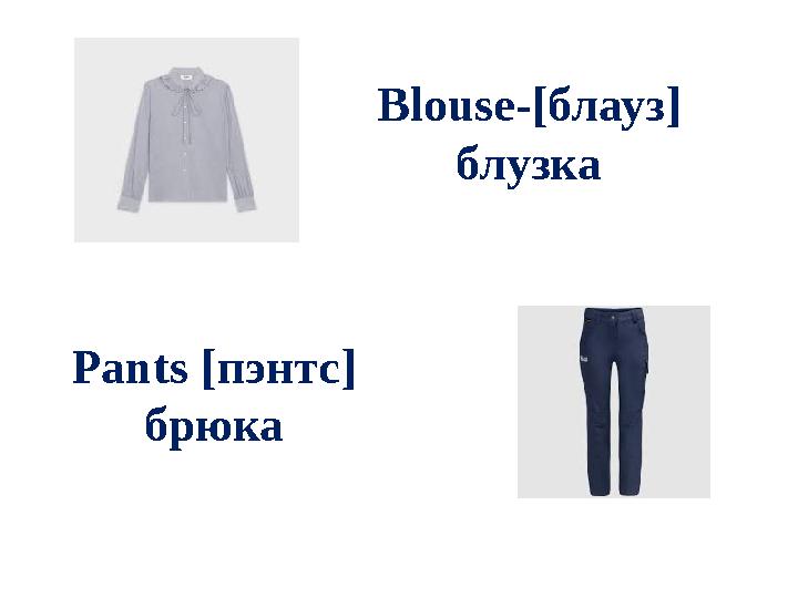 Blouse-[ блауз ] блузка Pants [ пэнтс ] брюка