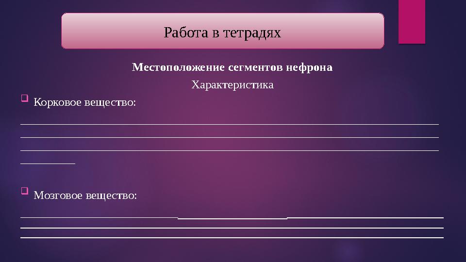 Местоположение сегментов нефрона Характеристика  Корковое вещество: ___________________________________________________________