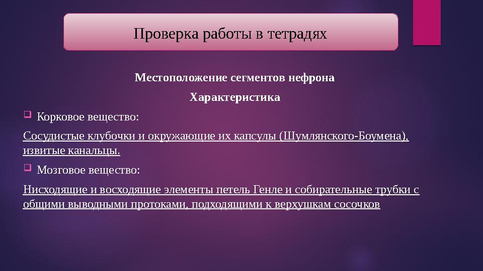 Местоположение сегментов нефрона Характеристика  Корковое вещество: Сосудистые клубочки и окружающие их капсулы (Шумлянского-Бо