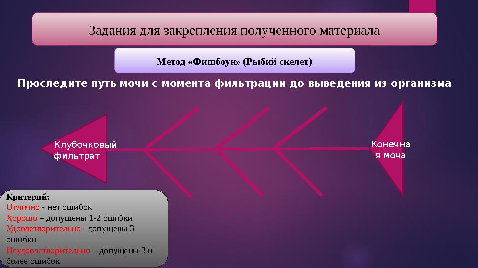 Проследите путь мочи с момента фильтрации до выведения из организма Задания для закрепления полученного материала Метод «Фишбоун