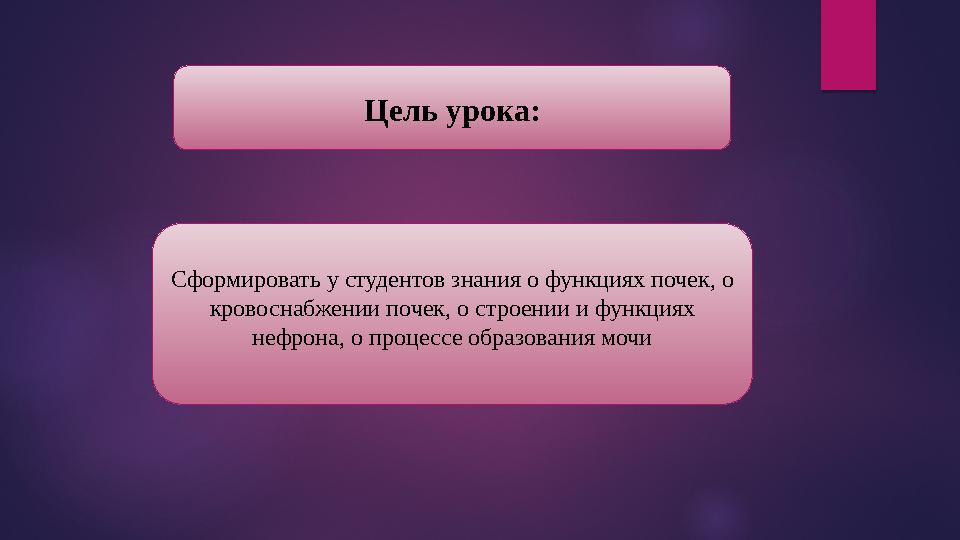 Цель урока: Сформировать у студентов знания о функциях почек, о кровоснабжении почек, о строении и функциях нефрона, о про