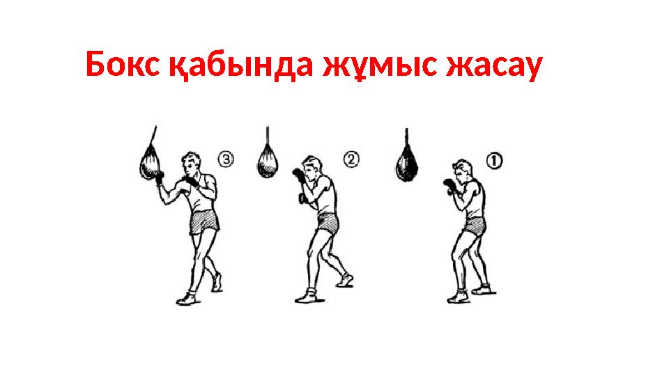 Бокс қабында жұмыс жасау