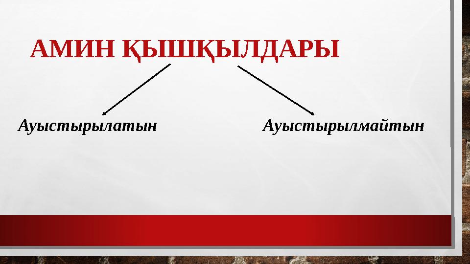 АМИН ҚЫШҚЫЛДАРЫ Ауыстырылатын Ауыстырылмайтын