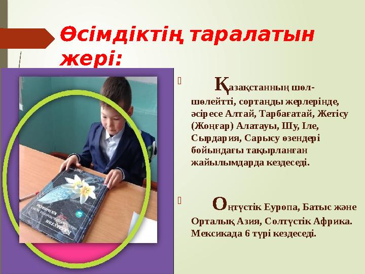 Кіріспе Ғылыми жұмысты жазу барысында оқушы қазақ халқының ұлттық құндылықтарын негізге ала отырып, емдік қасиеті ба Кіріспе Ғылыми жұмысты жазу барысында оқушы қазақ халқының ұлттық құндылықтарын негізге ала отырып, емдік қасиеті ба