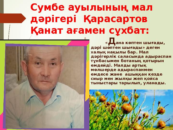 Ғ ылымда адыраспан өсімдігін 1928 жылдан бері дәрі- дәрмекке пайдаланып келеді. Ғ ылымда адыраспан өсімдігін 1928 жылдан бері дәрі- дәрмекке пайдаланып келеді.