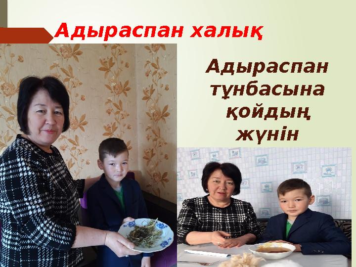 Халық емшілігі: Г астрит – асқазанның қабынуы ауруын емдеуге болады. Б елі ауыратын үлкен кісілерге адыраспанды пайдалану ар Халық емшілігі: Г астрит – асқазанның қабынуы ауруын емдеуге болады. Б елі ауыратын үлкен кісілерге адыраспанды пайдалану ар