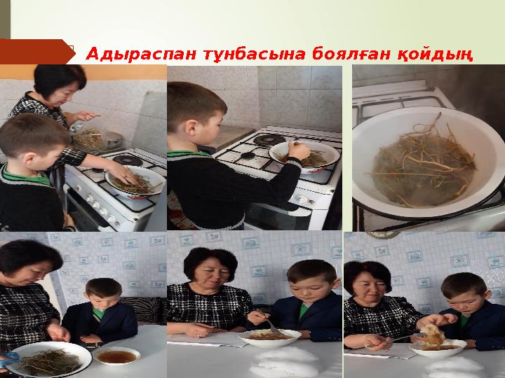  А дыраспанды Кавказ халқы ұйықтататын дәрі ретінде пайдаланады. Оның шөбін жағып, түтінімен бас ауруын емдейді және жұқпалы А дыраспанды Кавказ халқы ұйықтататын дәрі ретінде пайдаланады. Оның шөбін жағып, түтінімен бас ауруын емдейді және жұқпалы