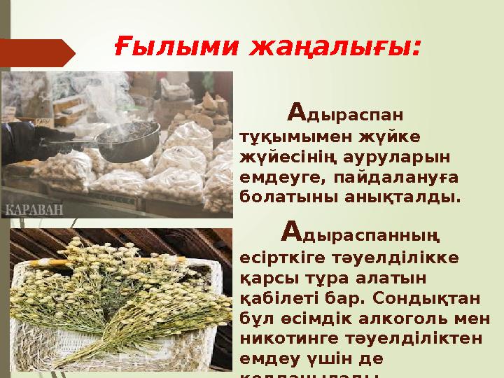 Тәжірибе тұжырымдамасы: А дыраспанды қайнатқан үйде гипертониямен және жүрегі ауыратын адамдарға отыруға бол Тәжірибе тұжырымдамасы: А дыраспанды қайнатқан үйде гипертониямен және жүрегі ауыратын адамдарға отыруға бол