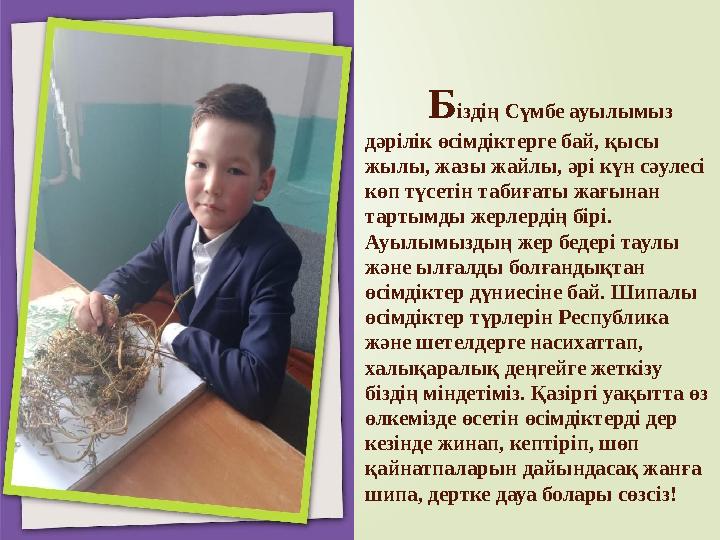 Х алқымыз адыраспан шөбінің әулиелік қасиеті мол деп санаған. Сондықтан біздің ата-бабаларымыз оны үйдің босағас Х алқымыз адыраспан шөбінің әулиелік қасиеті мол деп санаған. Сондықтан біздің ата-бабаларымыз оны үйдің босағас