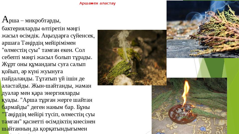 Аршамен аластау А рша – микробтарды, бактерияларды өлтіретін мәңгі жасыл өсімдік. Аңыздарға сүйенсек, аршаға Тәңірдің мейірім