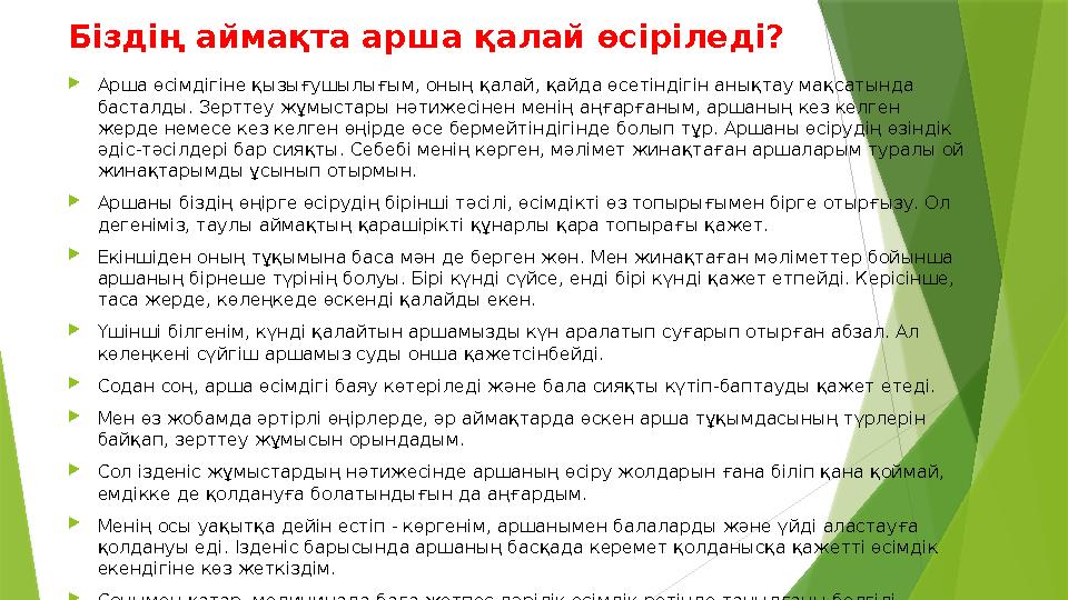Біздің аймақта арша қалай өсіріледі?  Арша өсімдігіне қызығушылығым, оның қалай, қайда өсетіндігін анықтау мақсатында басталды
