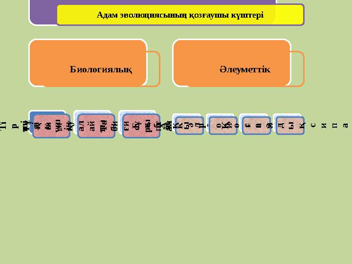 Адам эволюциясының қозғаушы күштері БиологиялықТ і р ш і л і к ү ш ін к ү р е с Т ұ қ ы м қ у а л а й ты н ө зг