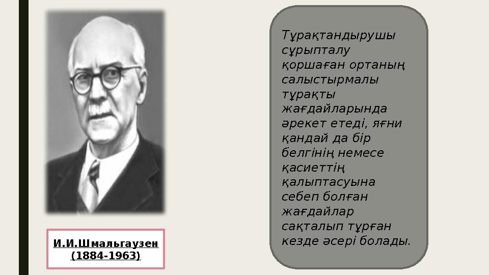 Тұрақтандырушы сұрыпталу қоршаған ортаның салыстырмалы тұрақты жағдайларында әрекет етеді, яғни қандай да бір белгінің н