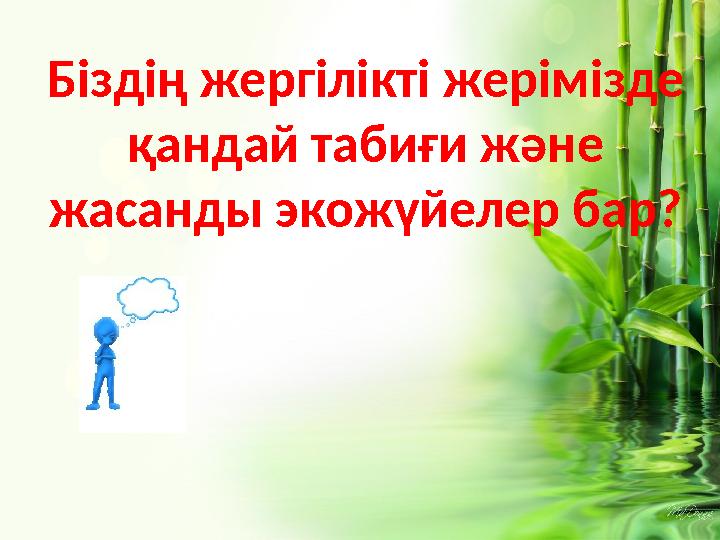 Біздің жергілікті жерімізде қандай табиғи және жасанды экожүйелер бар?