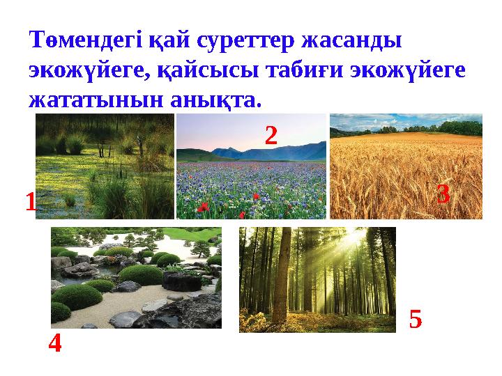 Төмендегі қай суреттер жасанды экожүйеге, қайсысы табиғи экожүйеге жататынын анықта. 1 2 3 4 5