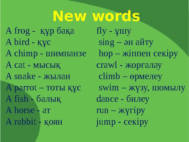 A frog - құр бақа A bird - құс A chimp - шимпанзе A cat - мысық A snake - жылан A parrot – тоты құс A fish - балық A hor
