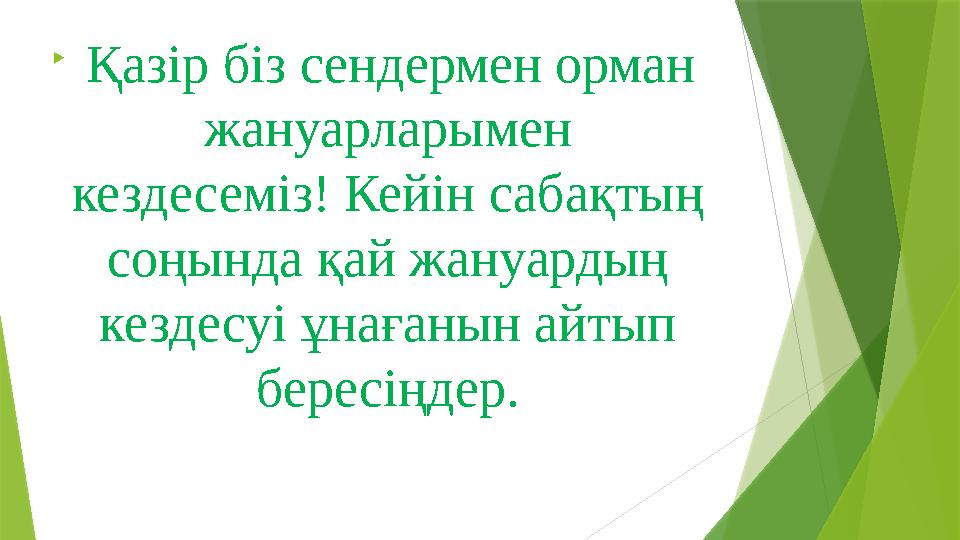  Қазір біз сендермен орман жануарларымен кездесеміз! Кейін сабақтың соңында қай жануардың кездесуі ұнағанын айтып бересі