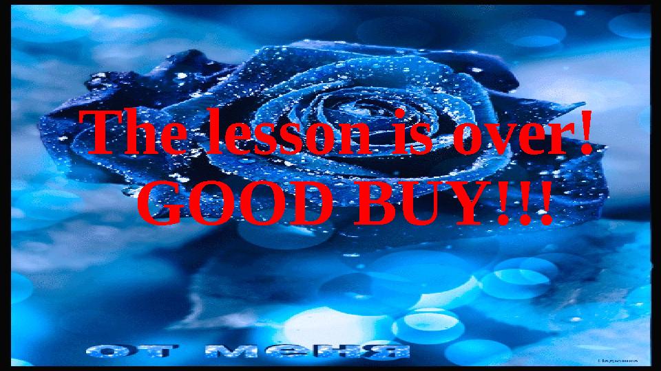 The lesson is over! GOOD BUY!!!