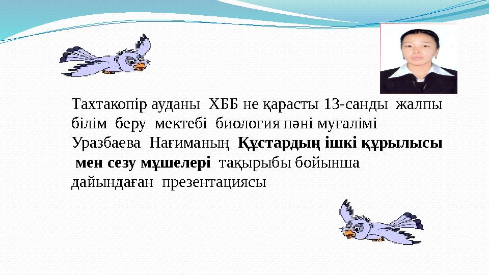 Мәскеу трансвеститтері жезөкшелер