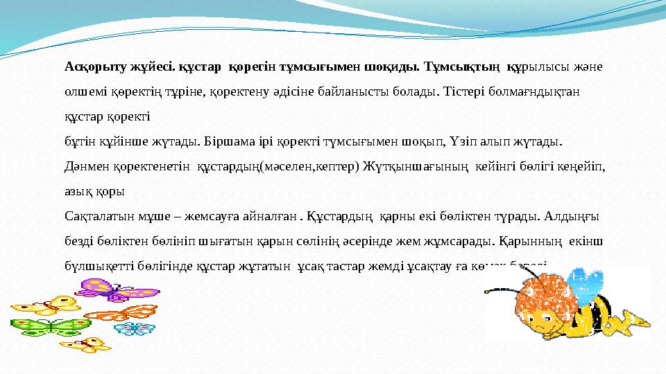 Асқорыту жұйес i. құстар қорег i н т ұ мсығымен шоқиды. Т ұ мсықтың құ рылысы және олшем i қ өрект i ң тұр i не, қоректен