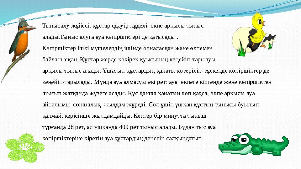 Тынысалу ж ұ йес i. құстар едәу i р кұдел i өкпе арқылы тыныс алады.Тыныс алуға ауа көп i рш i ктер i де қатысады . Көп i р