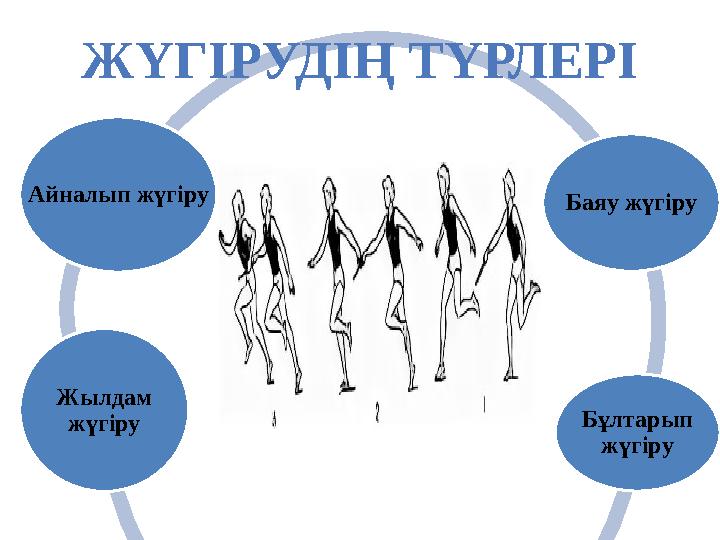 Баяу жүгіруАйналып жүгіру Бұлтарып жүгіруЖылдам жүгіру ЖҮГІРУДІҢ ТҮРЛЕРІ